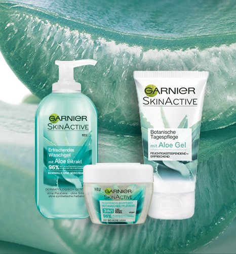 Garnier Skin Active Produkt und Aloe Vera